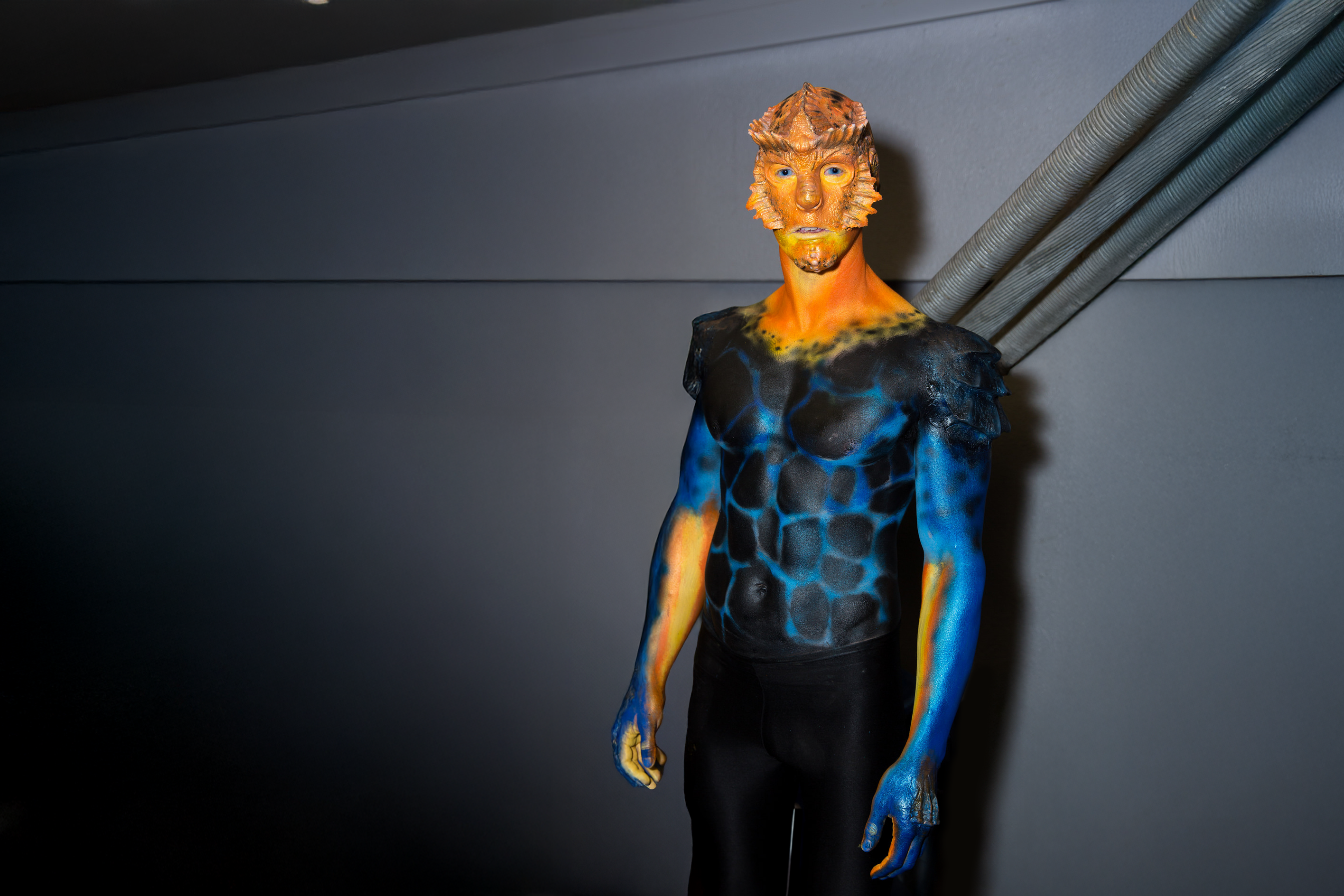 Fish superhero makeup